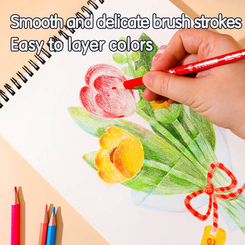 Colorun Colored Pencil-Full-24 | High Quality | Vibrant | Safe | 24 colors - Image 2